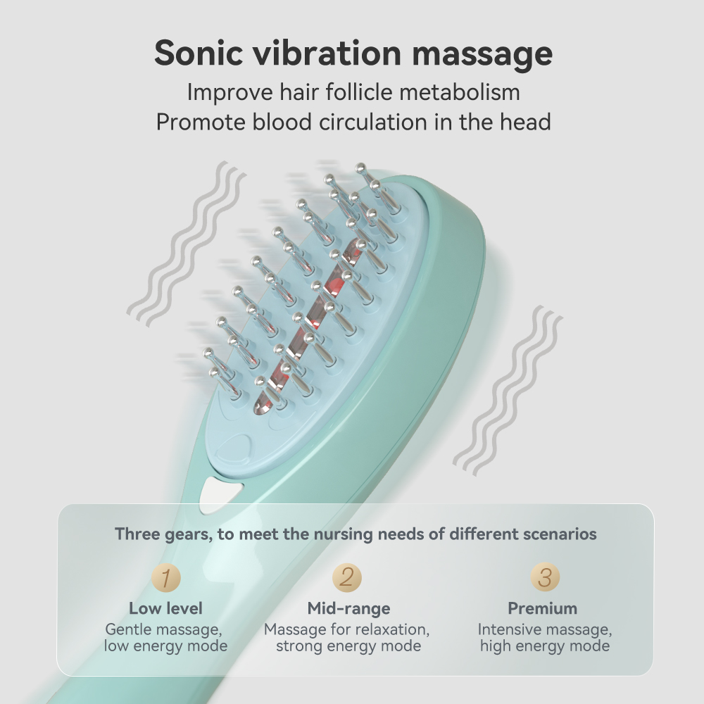 Classical Electric EMS RF Laser Massage Comb