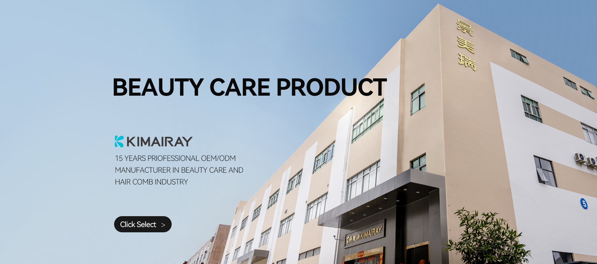 Electric Scalp Oil Applicator